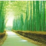 Dr. Öğr. Üyesi Özlem Gürsoy