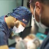 Dt. Onur Portakalkökü