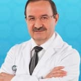 Prof. Dr. Elvan Tercan