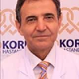 Prof. Dr. Mustafa Özkan