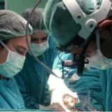 Prof. Dr. Nevzat Erdil