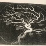 Uzm. Dr. Nihal Yıldız